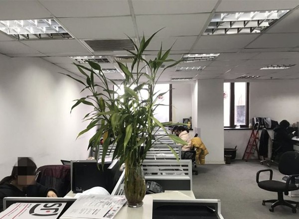 農房碧云公館1