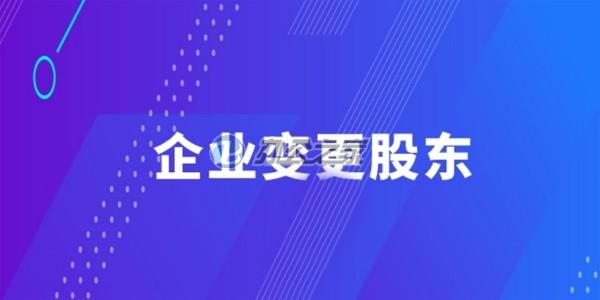 22"上海公司變更股東的在線流程是什么？"