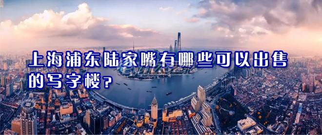 22"上海浦東陸家嘴有哪些可以出售的寫(xiě)字樓？"
