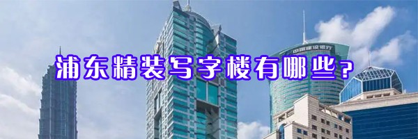 22"浦東精裝寫字樓有哪些？"