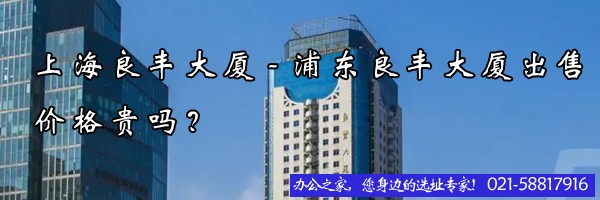 22"上海良豐大廈-浦東良豐大廈出售價格貴嗎？"