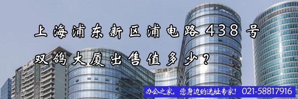 22"上海浦東新區(qū)浦電路438號雙鴿大廈出售值多少？"