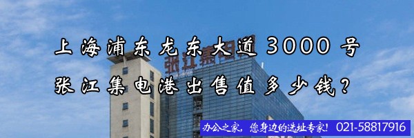 22"上海浦東龍東大道3000號張江集電港出售值多少錢？"